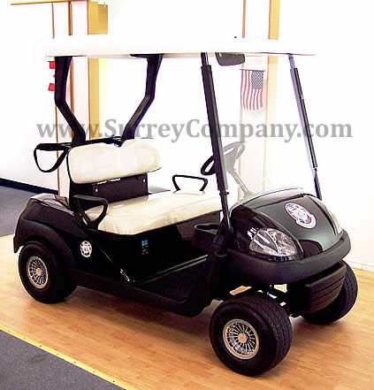 Electric Golf Cart offered by International Surrey Company Ltd.