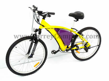 Electric Hybrid Mountain Bike Bicycle