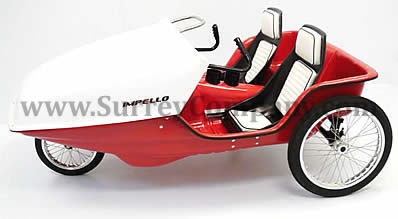 Three (3) wheel, two (2) person bike trike