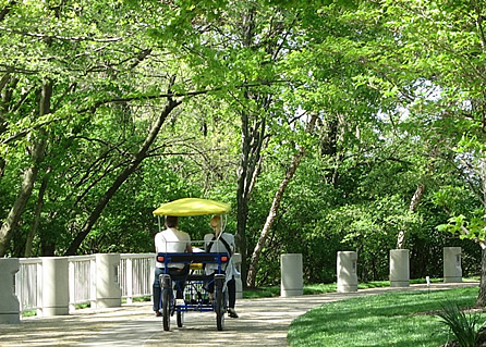 4 wheel bike, 4 wheel bicycle, surrey bike